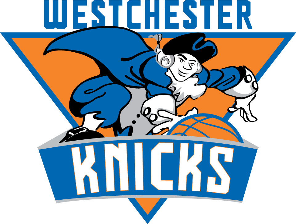 Westchester Knicks 2014-Pres Primary Logo iron on transfers for T-shirts